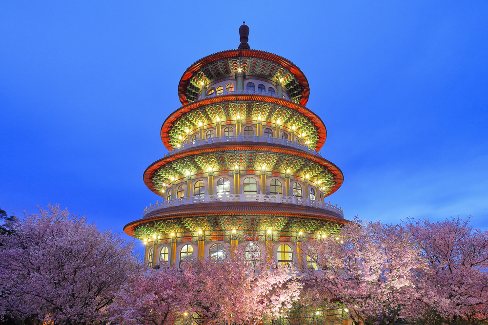 Beautiful Sakura Garden in Taipei, Taiwan