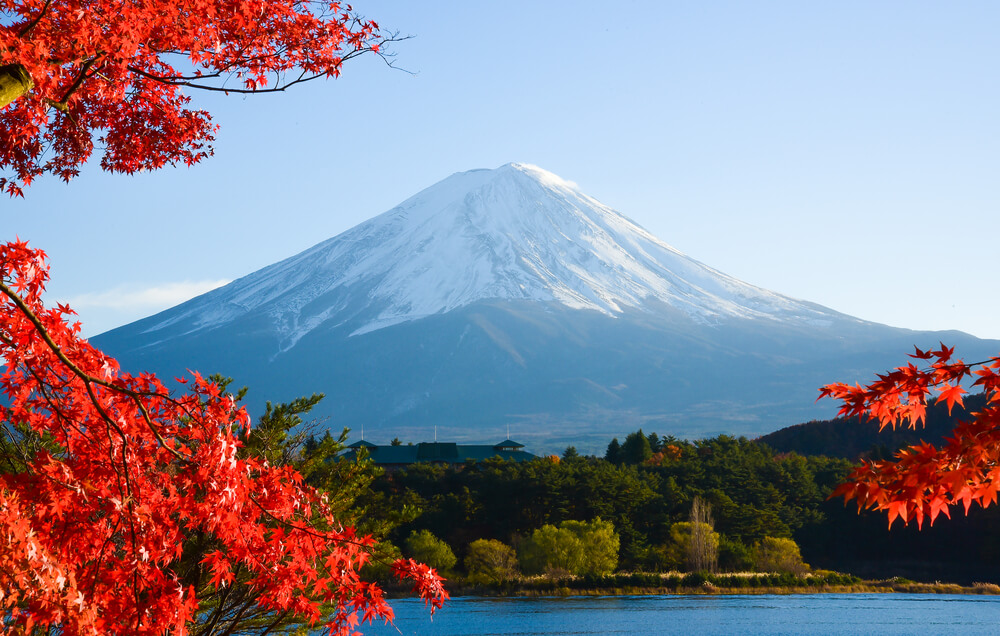 Mt.Fuji in autumn at Lake kawaguchiko in japan. Maple japan and mount fuji on blue sky.