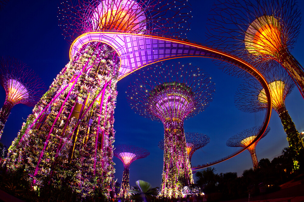 Night view of The Supertree Grove at Gardens by the Bay on June 06, 2013 in Singapore.